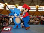 Wrestling: Sonic vs Super Mario